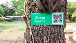 บรรยากาศในรีสอร์ท